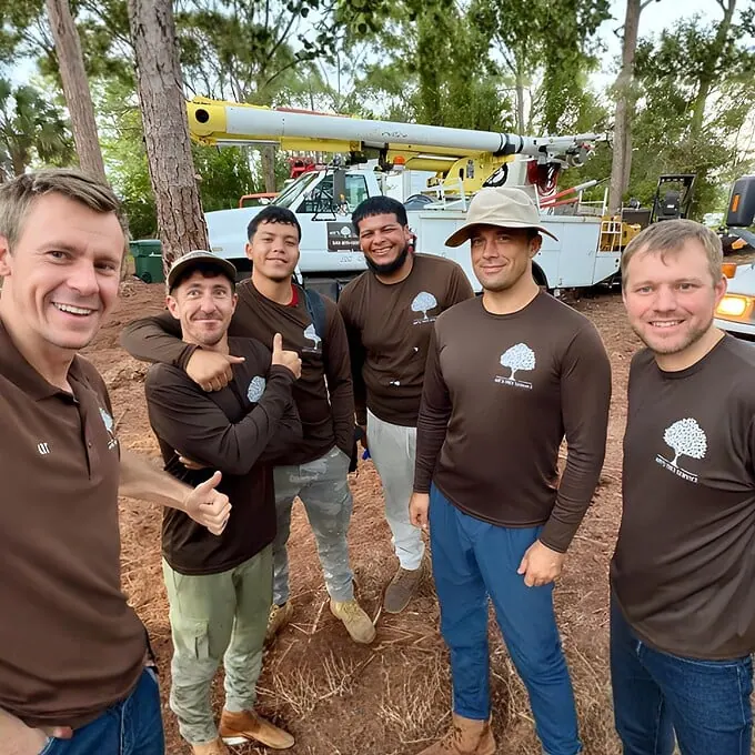 Art's Tree Service crew in Sarasota, Florida - insured, and ISA Certified Arborist guided